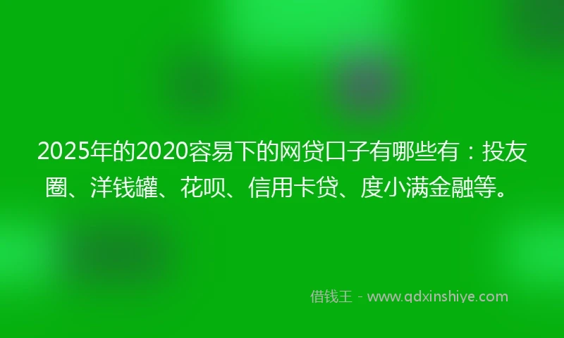 2025年的2020容易下的网贷口子有哪些有：投友圈、洋钱罐、花呗、信用卡贷、度小满金融等。