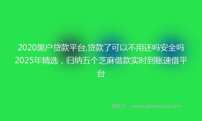 2020黑户贷款平台,贷款了可以不用还吗安全吗2025年精选，归纳五个芝麻借款实时到账速借平台
