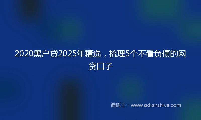 2020黑户贷2025年精选，梳理5个不看负债的网贷口子
