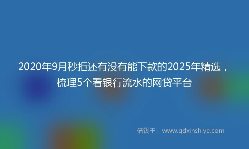 2020年9月秒拒还有没有能下款的2025年精选，梳理5个看银行流水的网贷平台