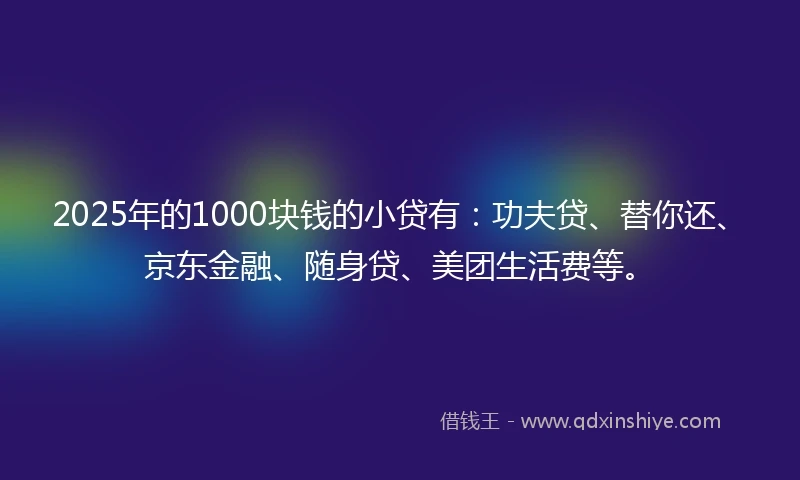 2025年的1000块钱的小贷有：功夫贷、替你还、京东金融、随身贷、美团生活费等。