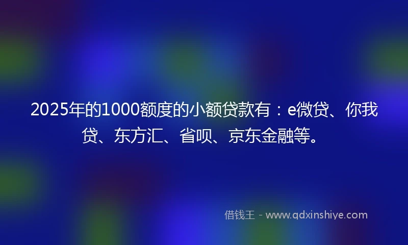 2025年的1000额度的小额贷款有：e微贷、你我贷、东方汇、省呗、京东金融等。
