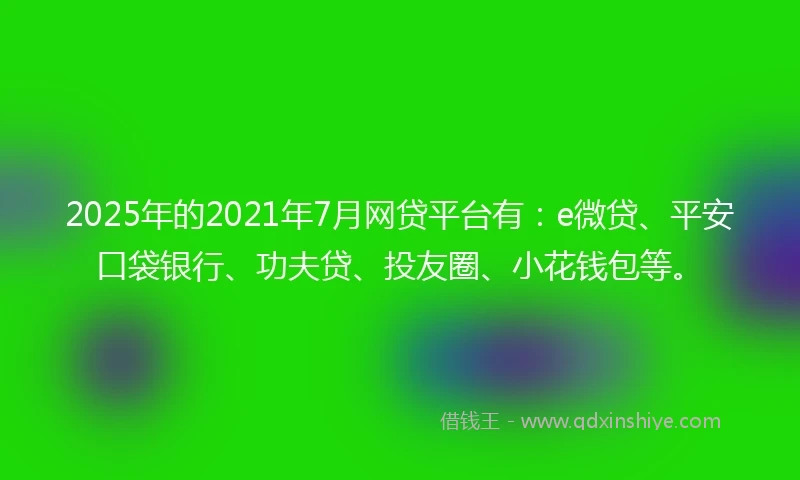 2025年的2021年7月网贷平台有：e微贷、平安口袋银行、功夫贷、投友圈、小花钱包等。