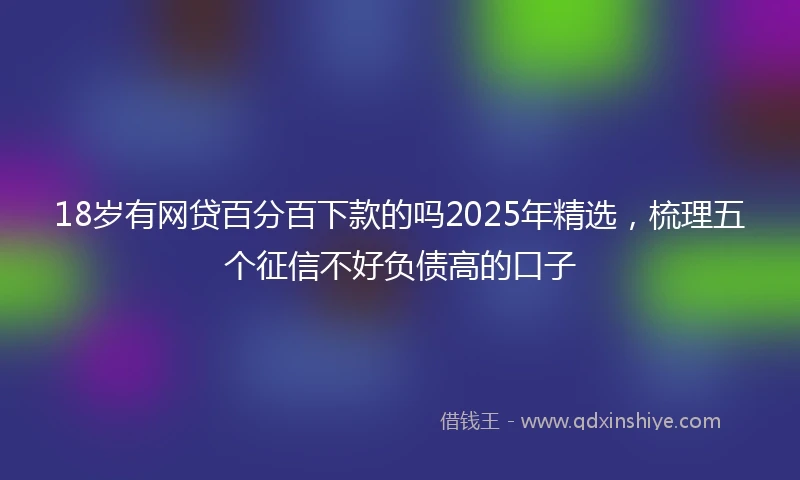 18岁有网贷百分百下款的吗2025年精选，梳理五个征信不好负债高的口子