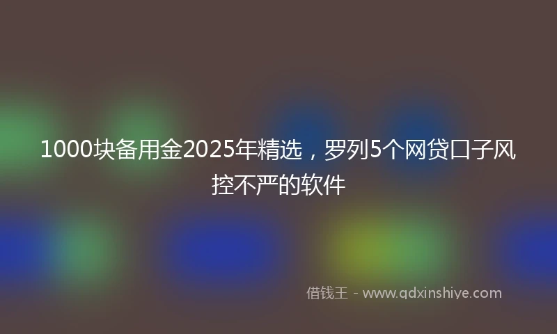 1000块备用金2025年精选，罗列5个网贷口子风控不严的软件