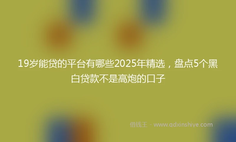 19岁能贷的平台有哪些2025年精选，盘点5个黑白贷款不是高炮的口子