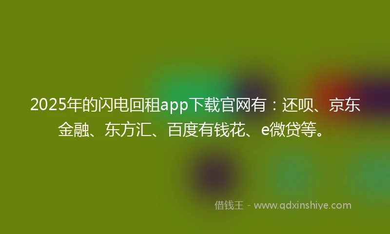 2025年的闪电回租app下载官网有：还呗、京东金融、东方汇、百度有钱花、e微贷等。
