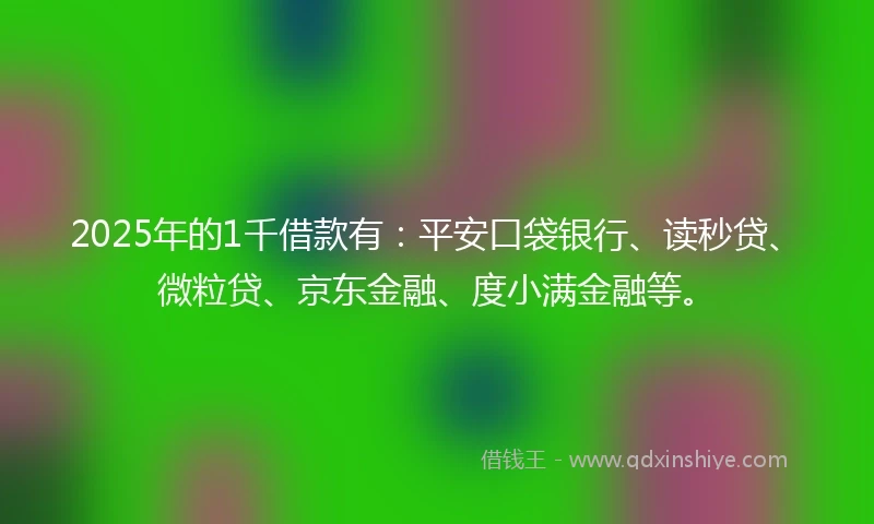 2025年的1千借款有：平安口袋银行、读秒贷、微粒贷、京东金融、度小满金融等。