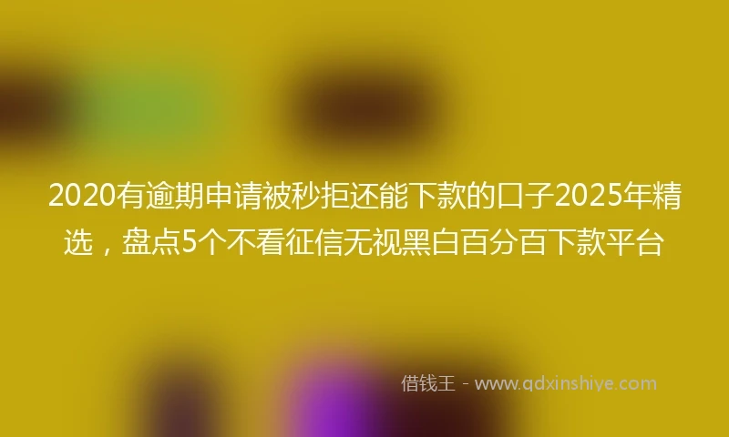 2020有逾期申请被秒拒还能下款的口子2025年精选，盘点5个不看征信无视黑白百分百下款平台
