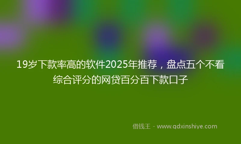 19岁下款率高的软件2025年推荐，盘点五个不看综合评分的网贷百分百下款口子