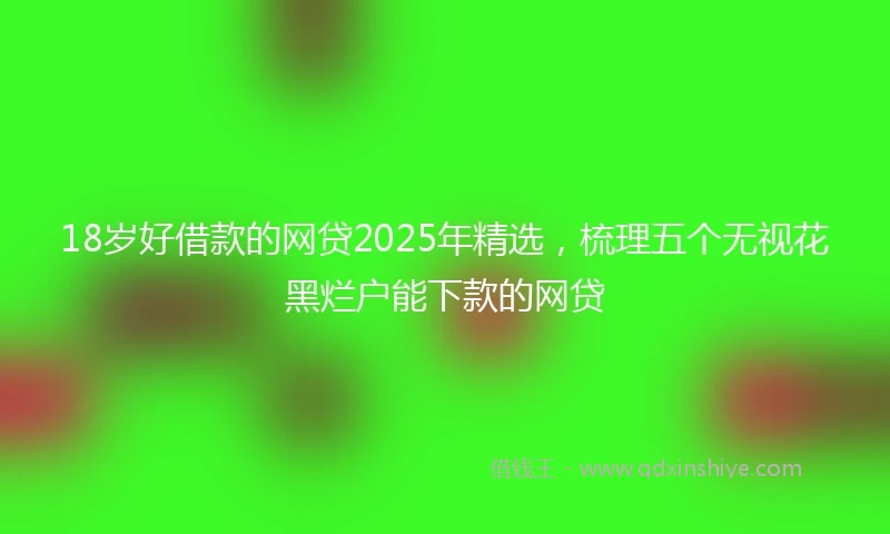 18岁好借款的网贷2025年精选，梳理五个无视花黑烂户能下款的网贷