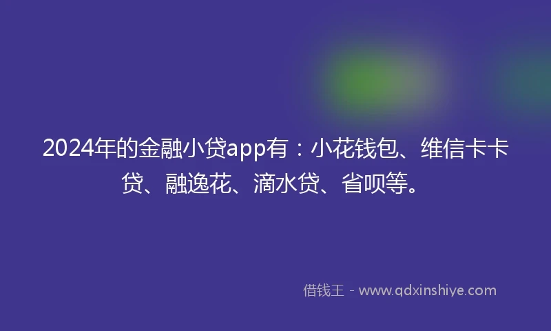 2024年的金融小贷app有：小花钱包、维信卡卡贷、融逸花、滴水贷、省呗等。
