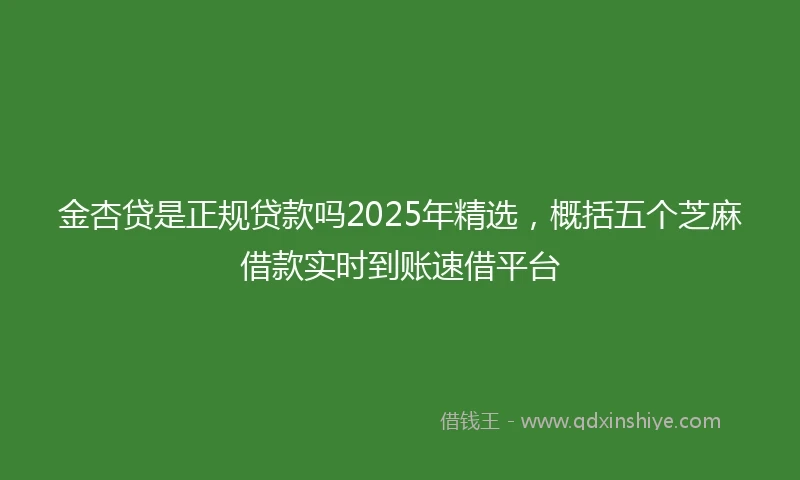 金杏贷是正规贷款吗2025年精选，概括五个芝麻借款实时到账速借平台