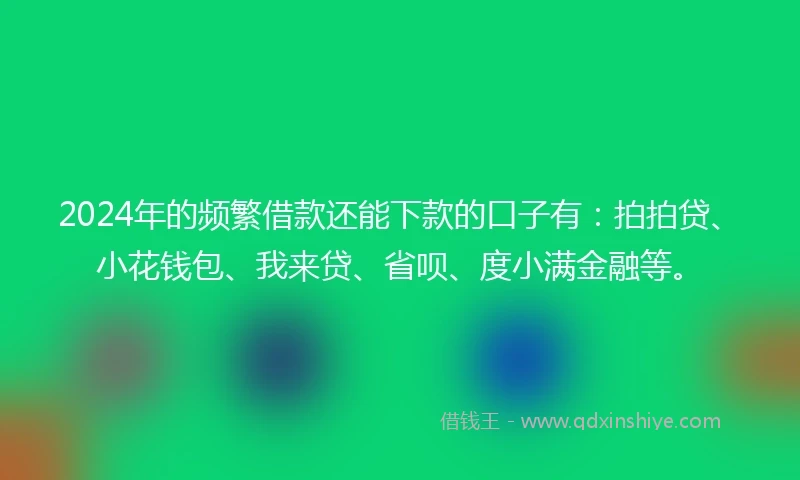 2024年的频繁借款还能下款的口子有：拍拍贷、小花钱包、我来贷、省呗、度小满金融等。