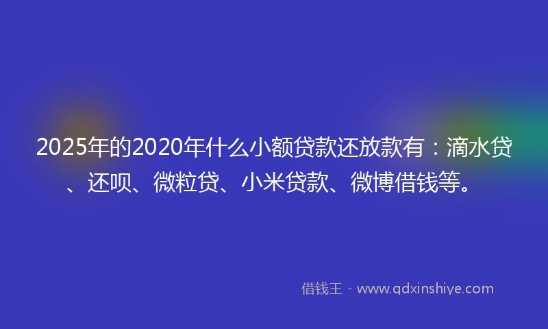 2025年的2020年什么小额贷款还放款有：滴水贷、还呗、微粒贷、小米贷款、微博借钱等。