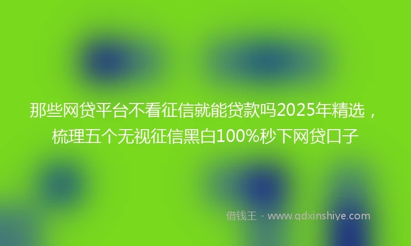 那些网贷平台不看征信就能贷款吗2025年精选，梳理五个无视征信黑白100%秒下网贷口子