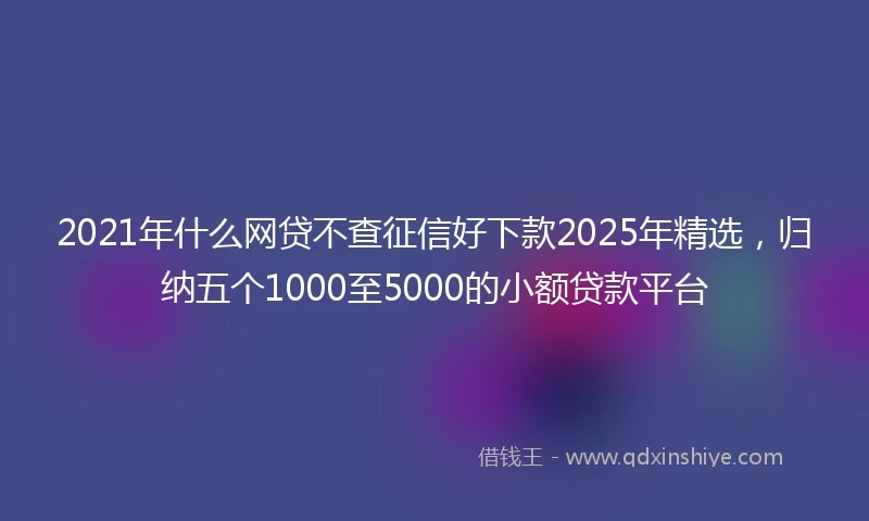 2021年什么网贷不查征信好下款2025年精选，归纳五个1000至5000的小额贷款平台