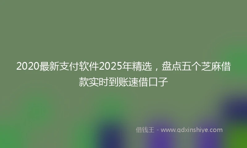 2020最新支付软件2025年精选，盘点五个芝麻借款实时到账速借口子