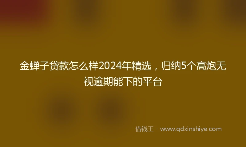金蝉子贷款怎么样2024年精选，归纳5个高炮无视逾期能下的平台
