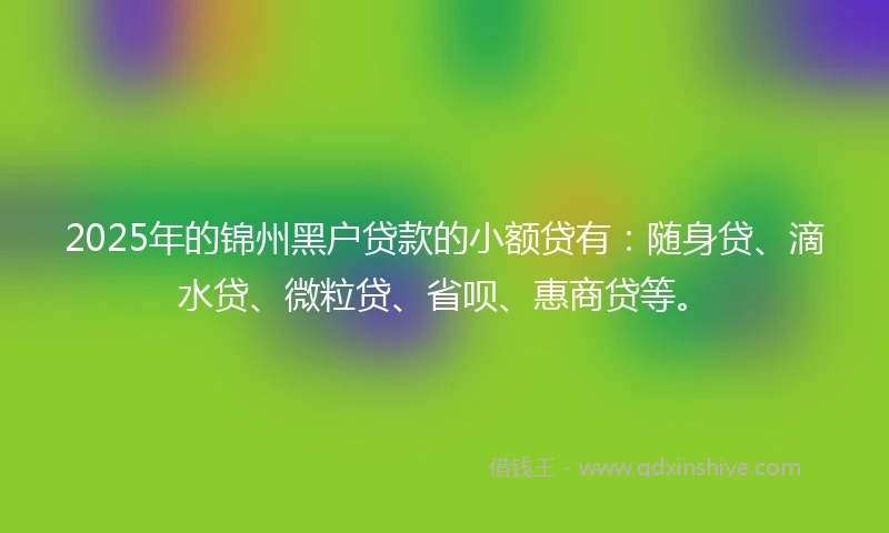2025年的锦州黑户贷款的小额贷有：随身贷、滴水贷、微粒贷、省呗、惠商贷等。