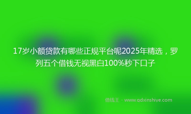 17岁小额贷款有哪些正规平台呢2025年精选，罗列五个借钱无视黑白100%秒下口子