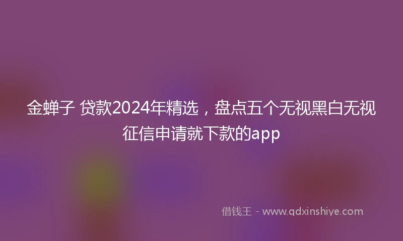 金蝉子 贷款2024年精选，盘点五个无视黑白无视征信申请就下款的app