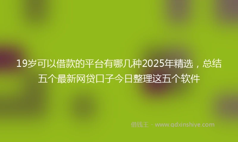 19岁可以借款的平台有哪几种2025年精选，总结五个最新网贷口子今日整理这五个软件