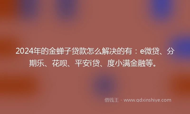 2024年的金蝉子贷款怎么解决的有：e微贷、分期乐、花呗、平安i贷、度小满金融等。