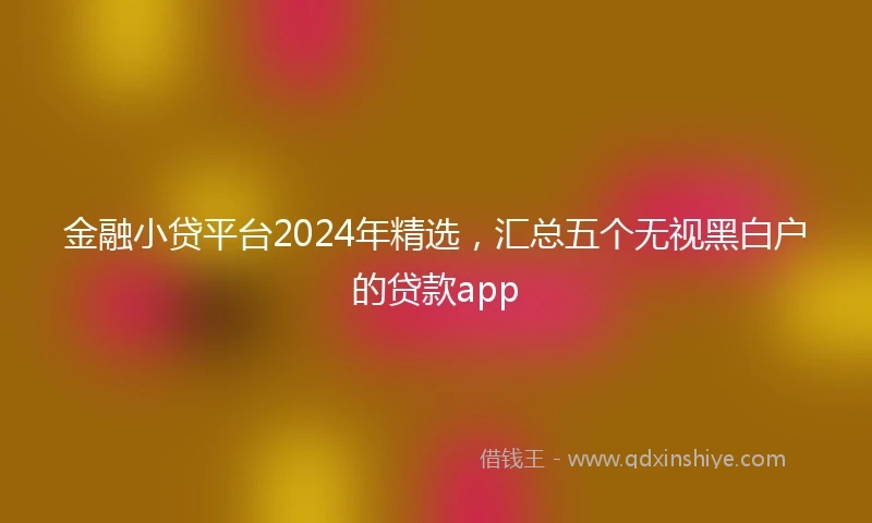 金融小贷平台2024年精选，汇总五个无视黑白户的贷款app