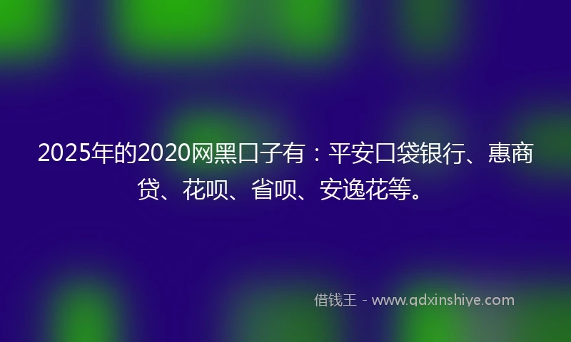 2025年的2020网黑口子有：平安口袋银行、惠商贷、花呗、省呗、安逸花等。