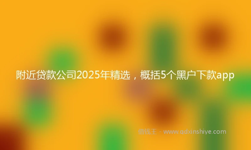 附近贷款公司2025年精选，概括5个黑户下款app