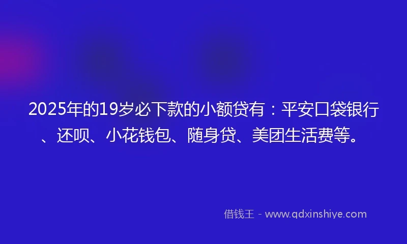 2025年的19岁必下款的小额贷有：平安口袋银行、还呗、小花钱包、随身贷、美团生活费等。