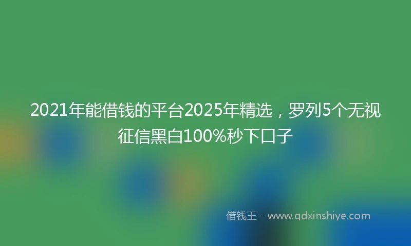2021年能借钱的平台2025年精选，罗列5个无视征信黑白100%秒下口子