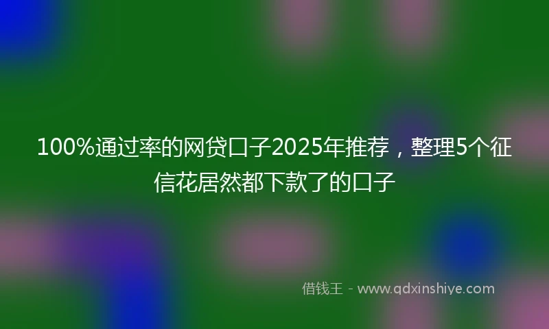 100%通过率的网贷口子2025年推荐，整理5个征信花居然都下款了的口子