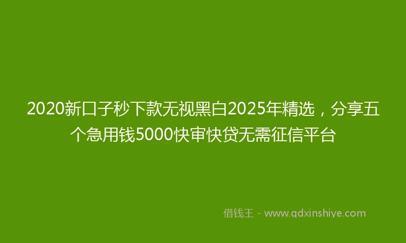 2020新口子秒下款无视黑白2025年精选，分享五个急用钱5000快审快贷无需征信平台