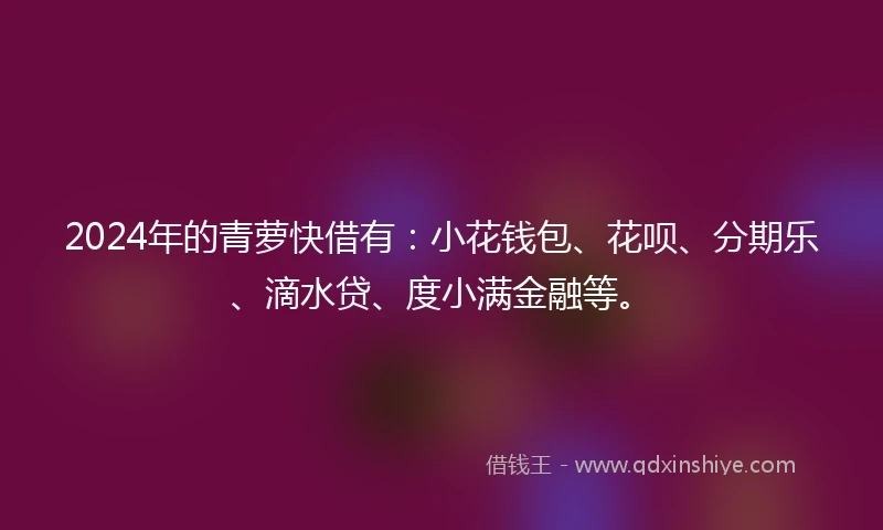 2024年的青萝快借有：小花钱包、花呗、分期乐、滴水贷、度小满金融等。