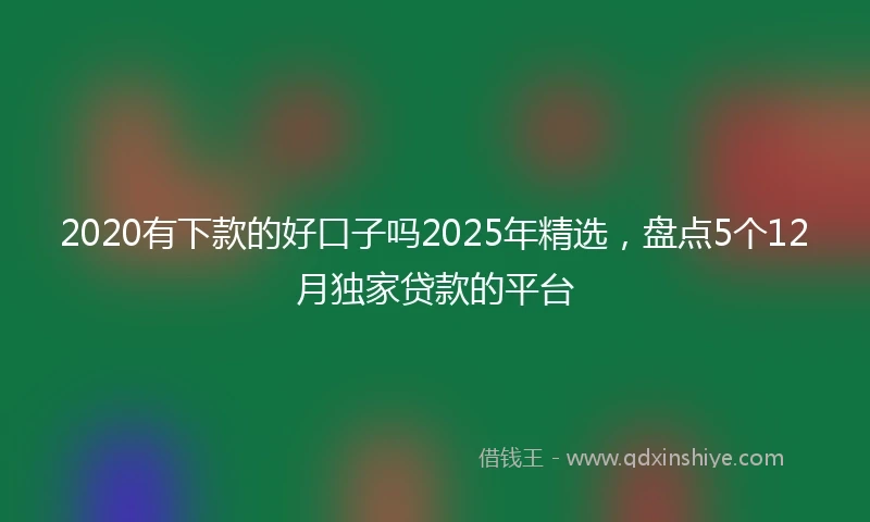 2020有下款的好口子吗2025年精选，盘点5个12月独家贷款的平台