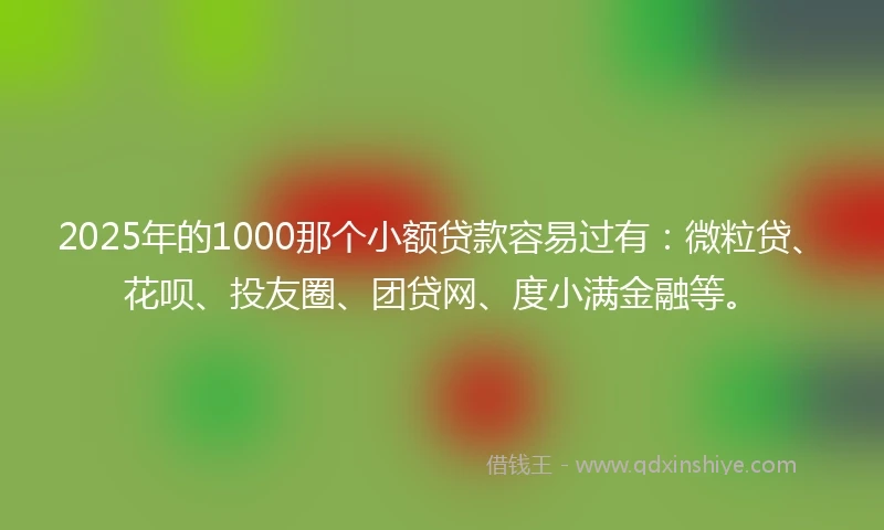 2025年的1000那个小额贷款容易过有：微粒贷、花呗、投友圈、团贷网、度小满金融等。