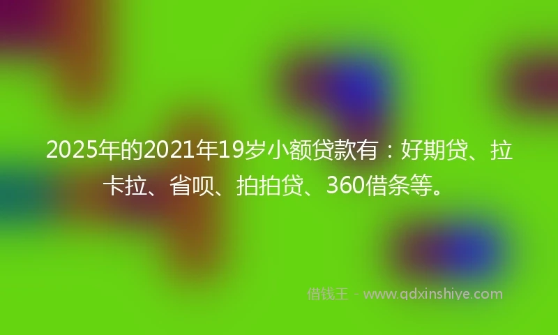 2025年的2021年19岁小额贷款有：好期贷、拉卡拉、省呗、拍拍贷、360借条等。