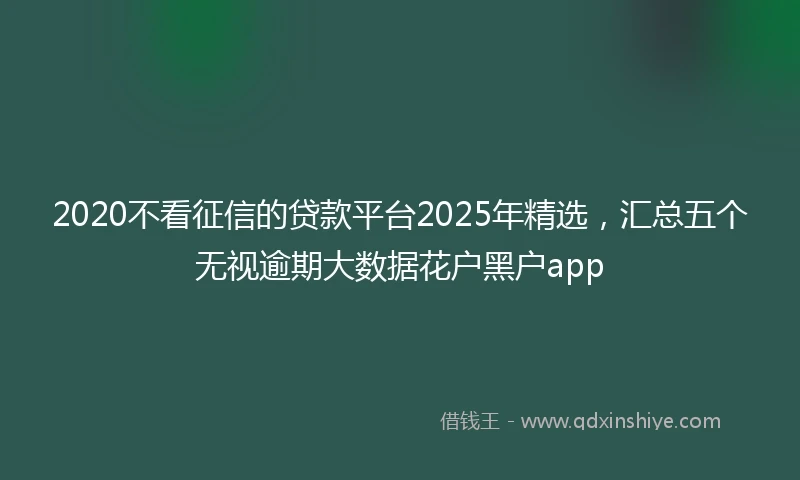 2020不看征信的贷款平台2025年精选，汇总五个无视逾期大数据花户黑户app