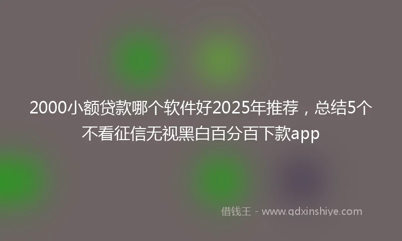 2000小额贷款哪个软件好2025年推荐，总结5个不看征信无视黑白百分百下款app