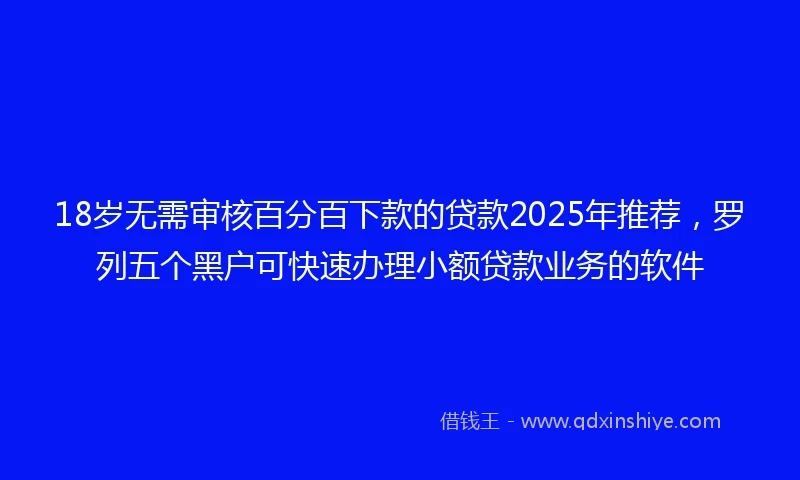 18岁无需审核百分百下款的贷款2025年推荐，罗列五个黑户可快速办理小额贷款业务的软件