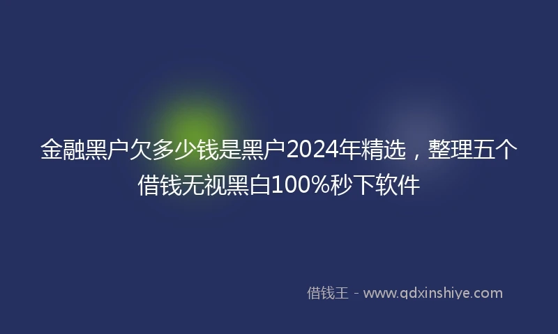 金融黑户欠多少钱是黑户2024年精选，整理五个借钱无视黑白100%秒下软件
