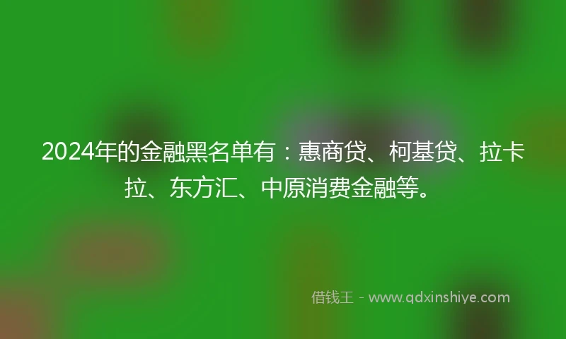 2024年的金融黑名单有：惠商贷、柯基贷、拉卡拉、东方汇、中原消费金融等。
