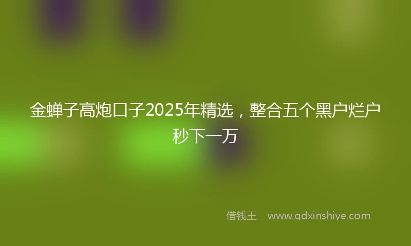 金蝉子高炮口子2025年精选，整合五个黑户烂户秒下一万