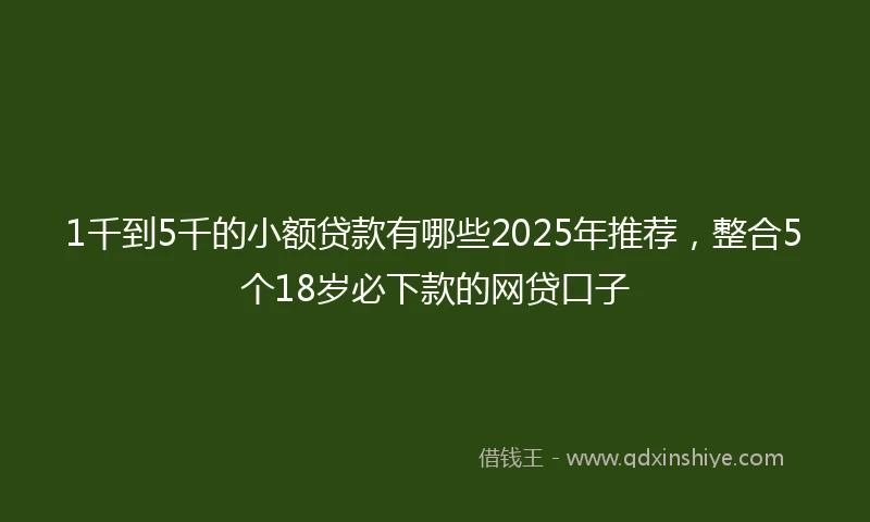 1千到5千的小额贷款有哪些2025年推荐，整合5个18岁必下款的网贷口子