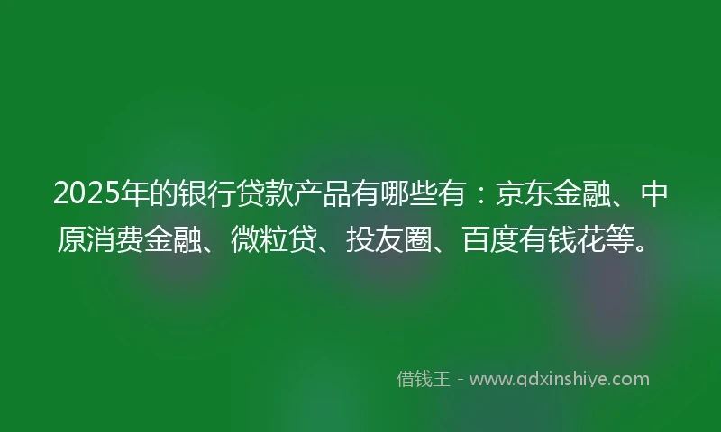 2025年的银行贷款产品有哪些有：京东金融、中原消费金融、微粒贷、投友圈、百度有钱花等。