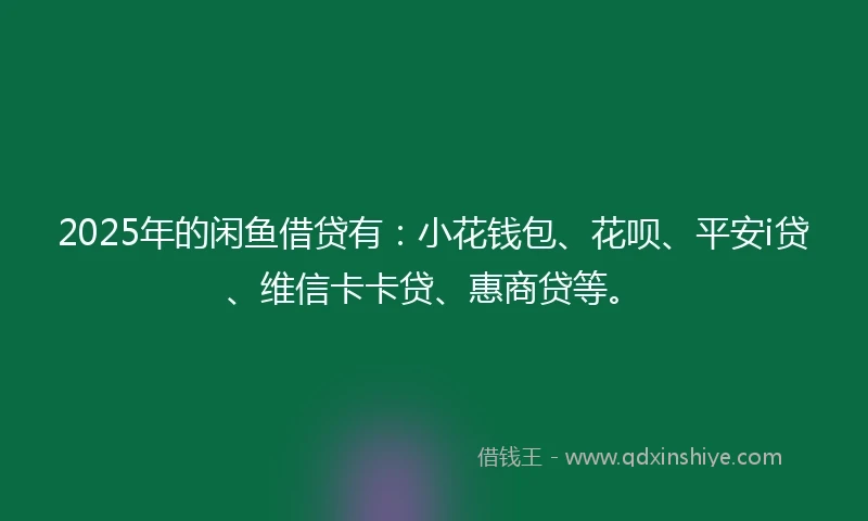 2025年的闲鱼借贷有：小花钱包、花呗、平安i贷、维信卡卡贷、惠商贷等。
