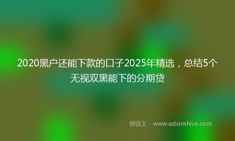 2020黑户还能下款的口子2025年精选，总结5个无视双黑能下的分期贷