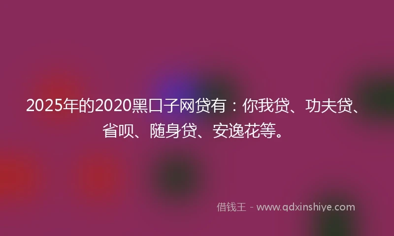 2025年的2020黑口子网贷有：你我贷、功夫贷、省呗、随身贷、安逸花等。